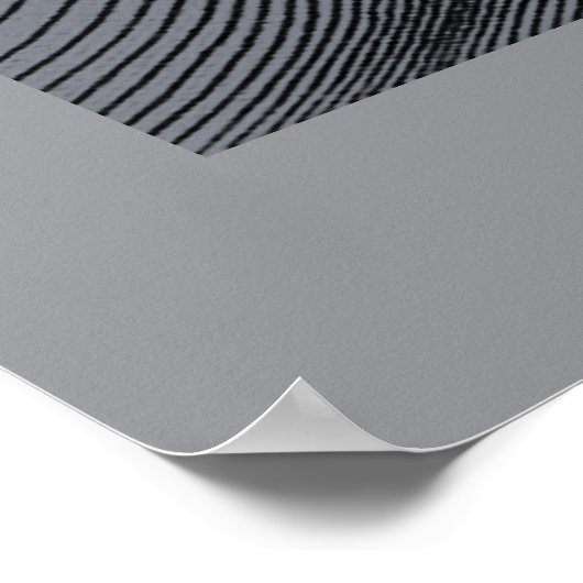 Creation of Motion Poster (Ecke)