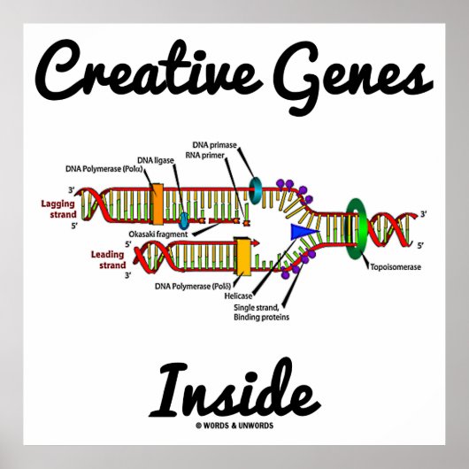 Creative Genes Inside (DNA-Replikation) Poster (Vorne)