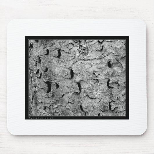 Credo Abstract Mousepad (Vorne)
