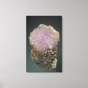 Creedite Kristalle, Chihuahua, Mexiko Leinwanddruck