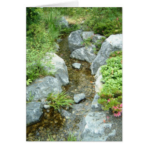 Creek