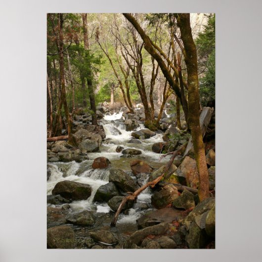 Creek at Bridal Veil Falls, Yosemite Poster (Vorne)