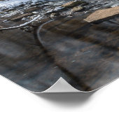 Creek at Sequiota Poster (Ecke)