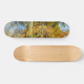 Creek Autumn Reflections Vertikal Skateboard (Horizontal)