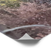 Creek Autumn Waterscape Poster (Ecke)