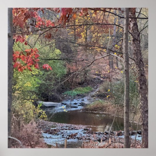 Creek Autumn Waterscape Poster (Vorne)