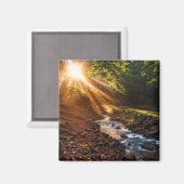 Creek Bank Sunrise Magnet (Vorderseite/Rückseite)
