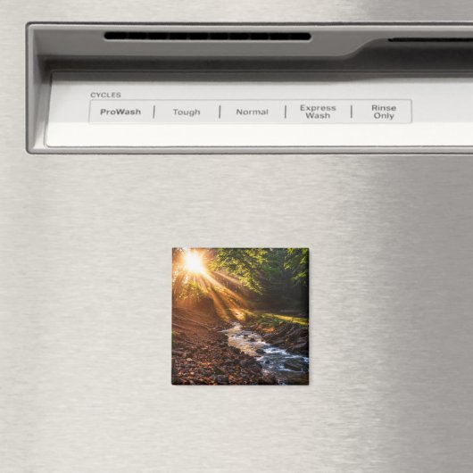 Creek Bank Sunrise Magnet (In Situ (Geschirrspüler))