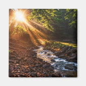 Creek Bank Sunrise Magnet (Vorne)