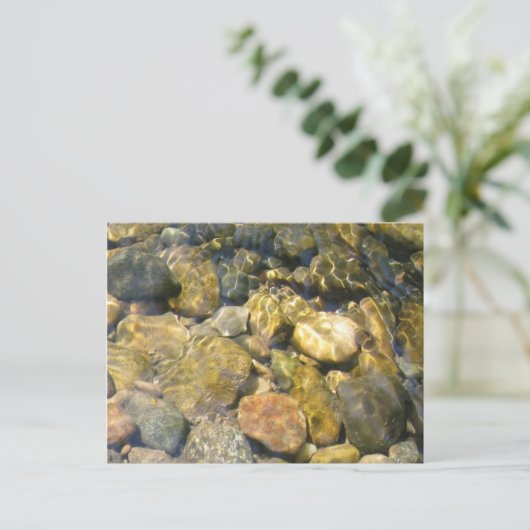 Creek Bed Postcard Postkarte (Stehend Vorderseite)