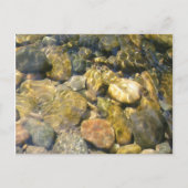 Creek Bed Postcard Postkarte (Vorderseite)