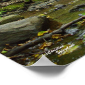 Creek Bridge Forest Poster (Ecke)
