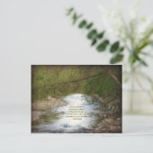 Creek & Dalai Lama-Zitat zum Mitgefühl Postkarte (Stehend Vorderseite)