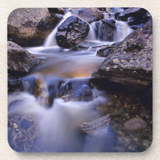 Creek Falls near Steamboat Springs Colorado Untersetzer (Vorderseite)