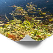 Creek Foto Poster (Ecke)