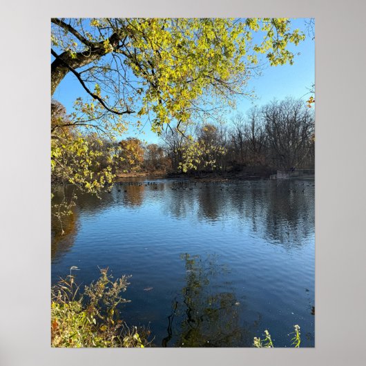 Creek Foto Poster (Vorne)