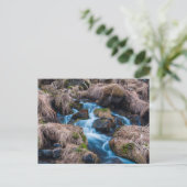 Creek im Eisland Postkarte (Stehend Vorderseite)