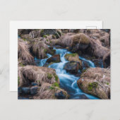 Creek im Eisland Postkarte (Vorne/Hinten)