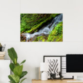 Creek im Rainier Nationalpark Poster (Heimbüro)