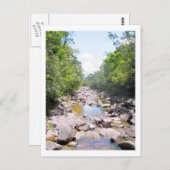 Creek in Venezuela Jungle Landschaft Postkarte (Vorne/Hinten)