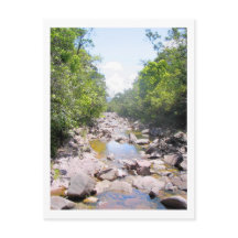 Creek in Venezuela Jungle Landschaft