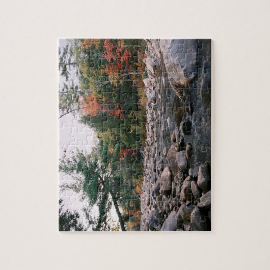 Creek in Vermont im Herbst Puzzle (Vertikal)