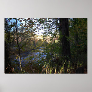 Creek mit Bridge Poster