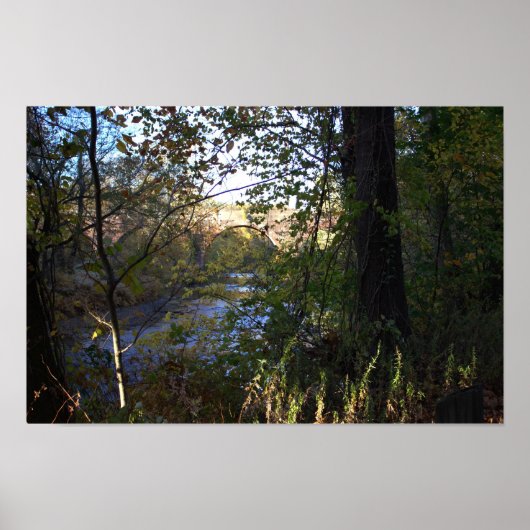 Creek mit Bridge Poster (Vorne)