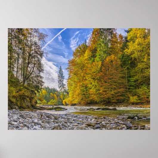 Creek Poster (Vorne)