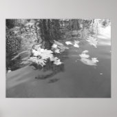 Creek Poster (Vorne)