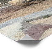 Creek Waterscape Poster (Ecke)