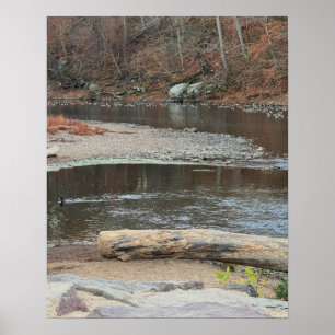 Creek Waterscape Poster