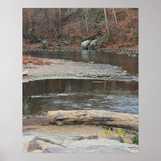 Creek Waterscape Poster (Vorne)