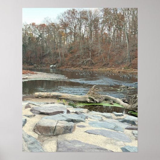 Creek Waterscape Poster (Vorne)