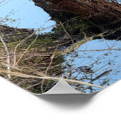 Creek Waterscape Reflections Foto Poster (Ecke)