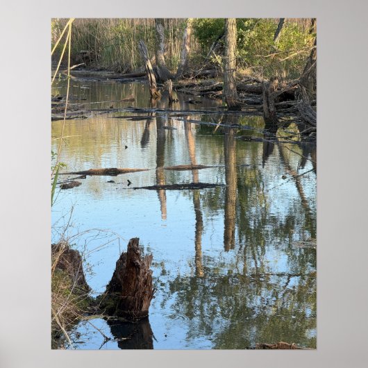 Creek Waterscape Reflections Foto Poster (Vorne)
