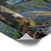 Creek Waterscape Reflections Poster (Ecke)