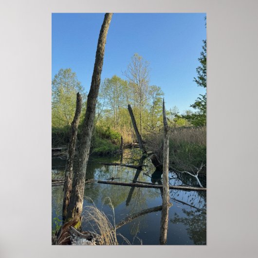 Creek Waterscape Reflections Poster (Vorne)
