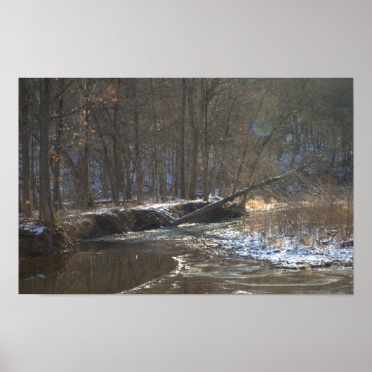 Creek Winter Waterscape Poster (Vorne)
