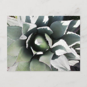 Creel, Copper Canyon, Mexiko Postkarte