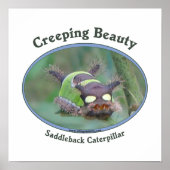 Creeping Beauty Poster (Vorne)