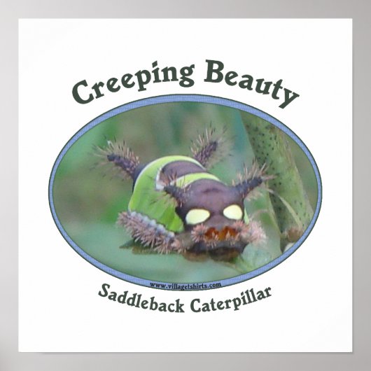 Creeping Beauty Poster (Vorne)