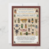 Creepisches Halloween-Party | Fun Bug Insect Colle Einladung (Vorderseite)