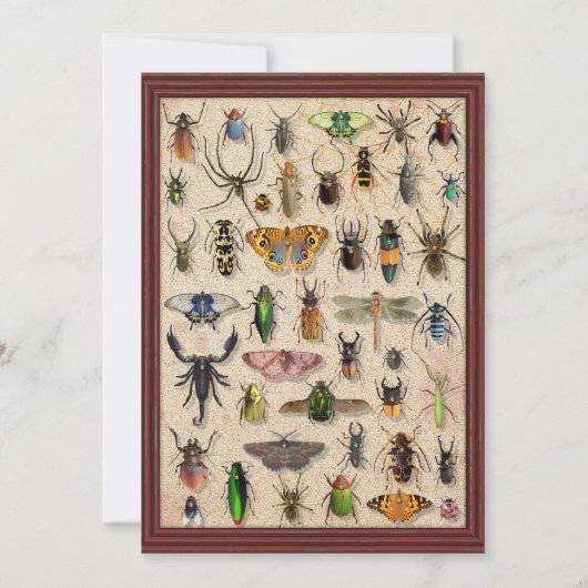 Creepisches Halloween-Party | Fun Bug Insect Colle Einladung (Rückseite)