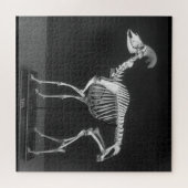 Creepy Bighorn Sheep Mounted Skeleton B&W Foto Puzzle (Horizontal)