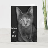 Creepy Cat - Geburtskarte Karte (Vorderseite)