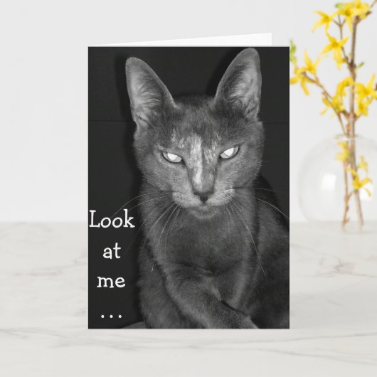 Creepy Cat - Geburtskarte Karte (Gelbe Blume)