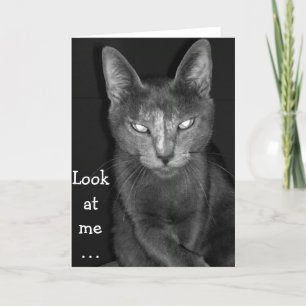 Creepy Cat - Geburtstagskarte Karte