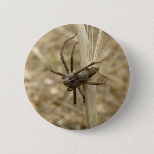 Creepy Crawly Spider Button (Vorderseite)