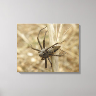 Creepy Crawly Spider Canvas Print Leinwanddruck